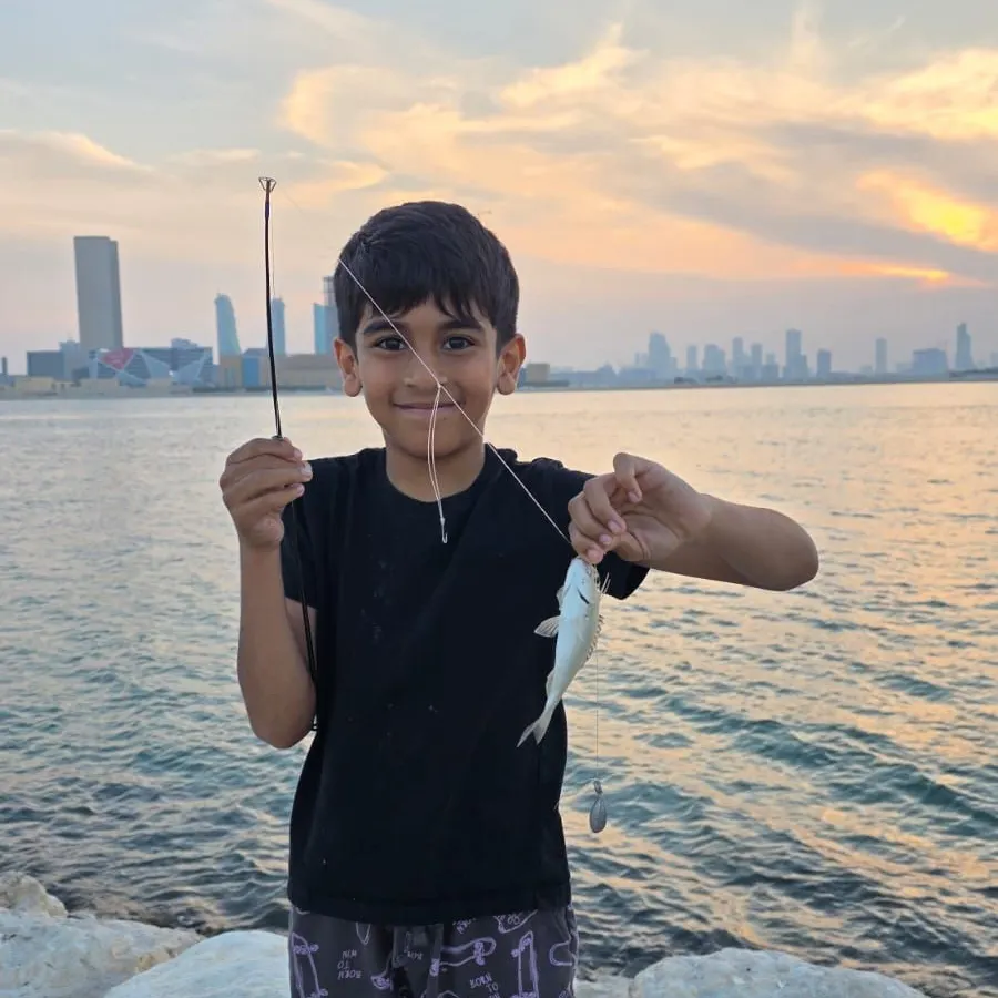 The most recent Goldlined seabream catches on Fishbrain