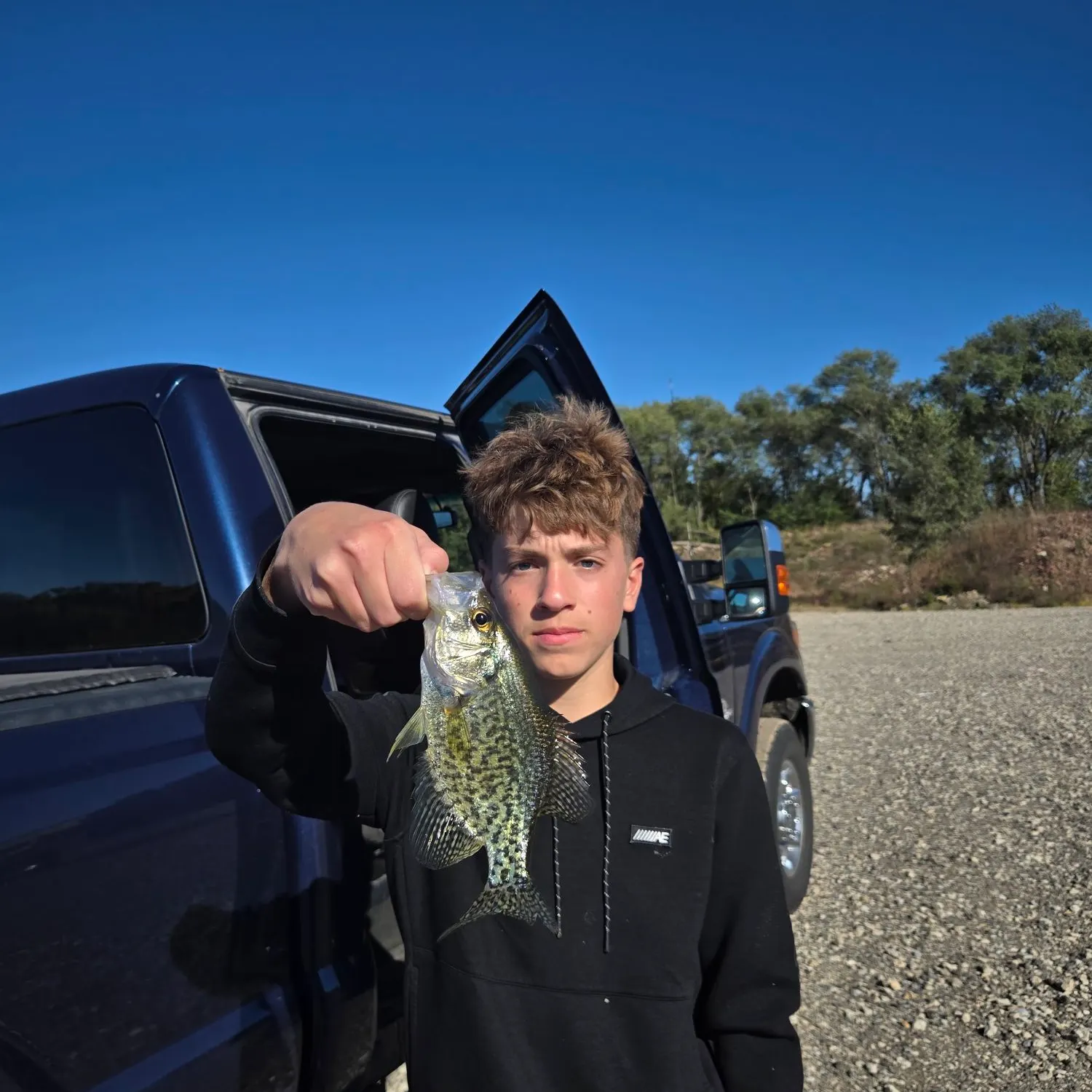 Black crappie caught on Fishbrain
