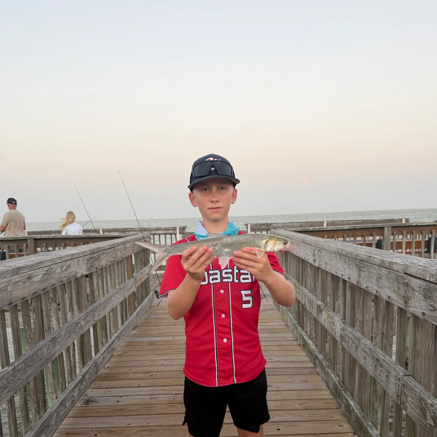 Ladyfish caught on Fishbrain