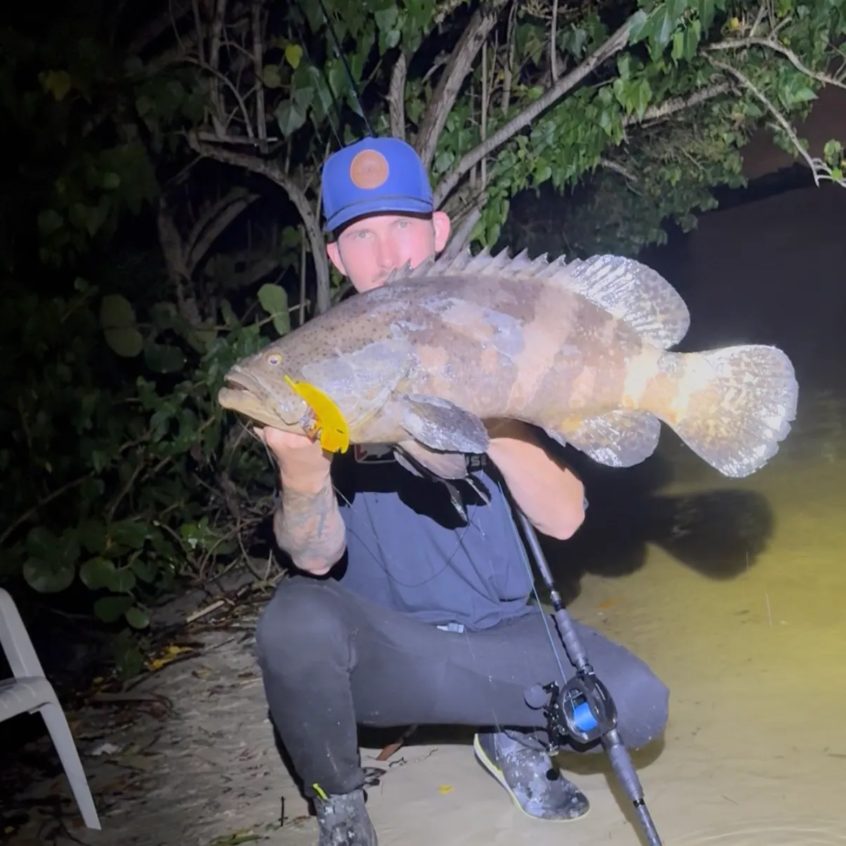 The most recent Atlantic goliath grouper catches on Fishbrain
