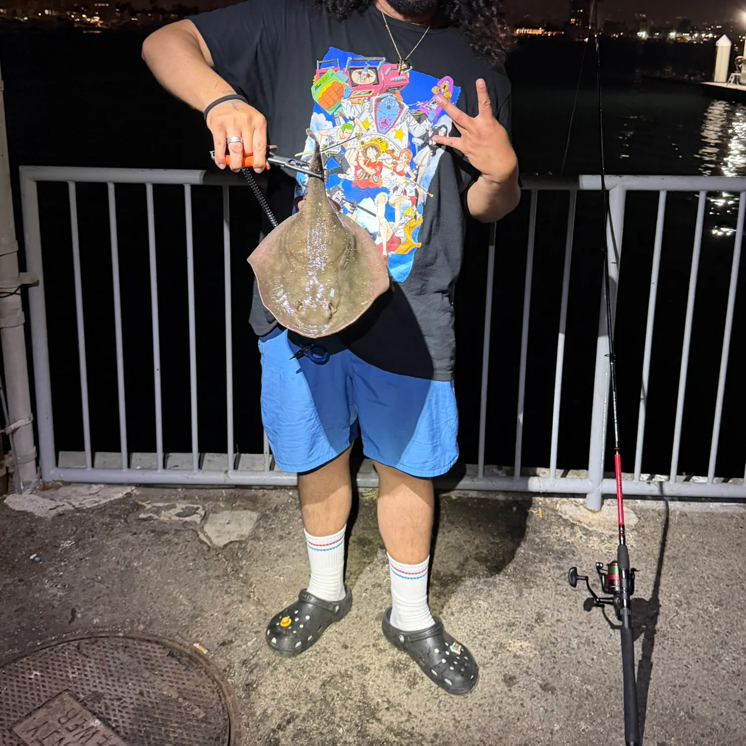The most recent Atlantic stingray catches on Fishbrain