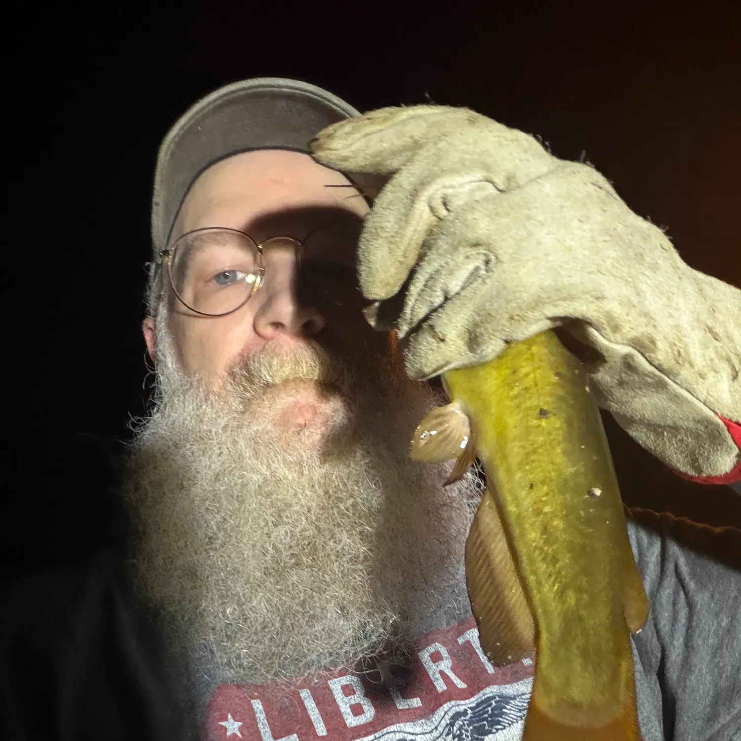 Yellow bullhead caught on Fishbrain