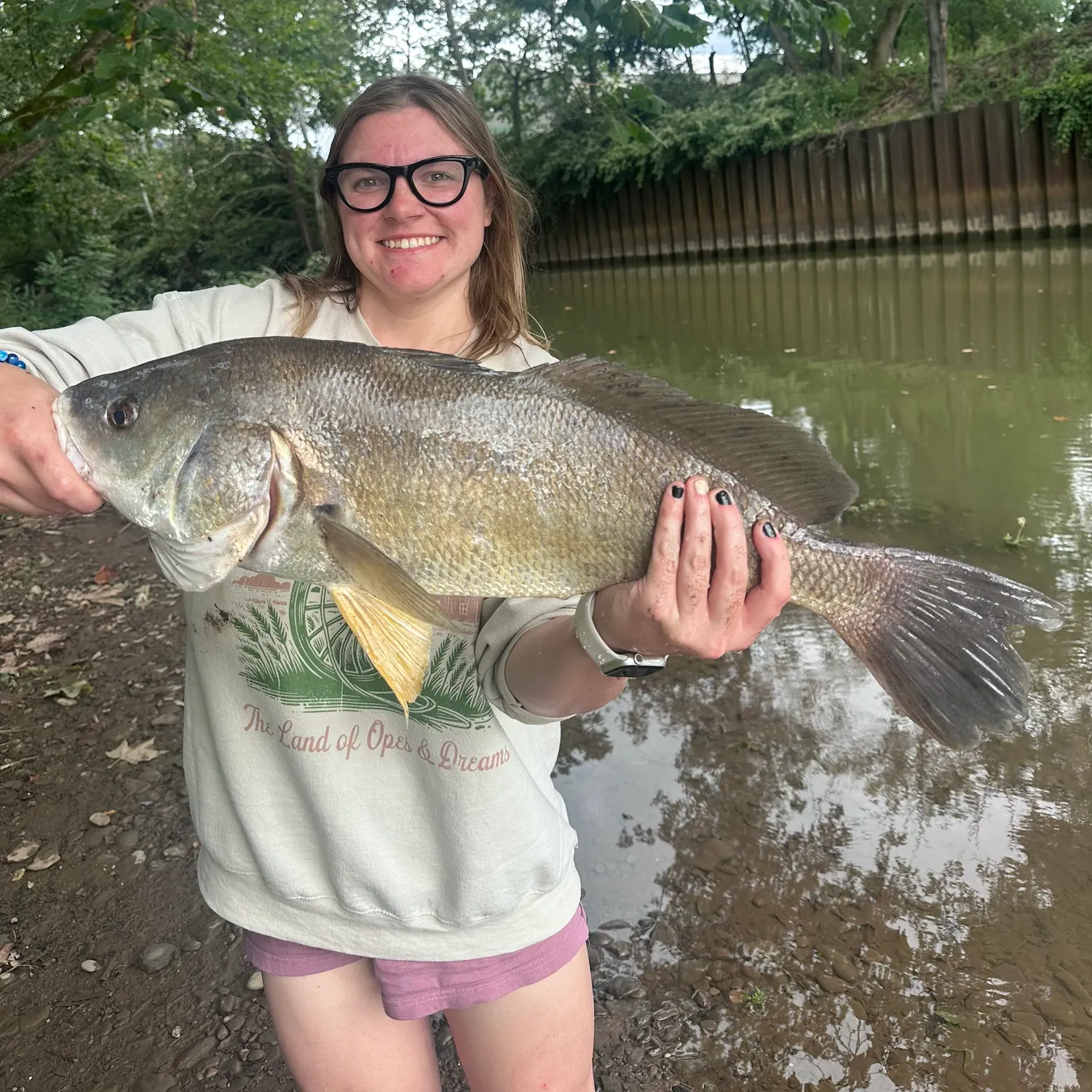 Freshwater drum caught on Fishbrain