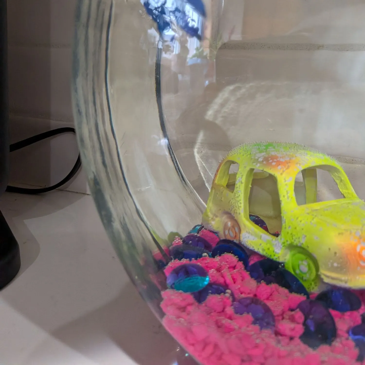 The most recent Siamese fighting fish catches on Fishbrain