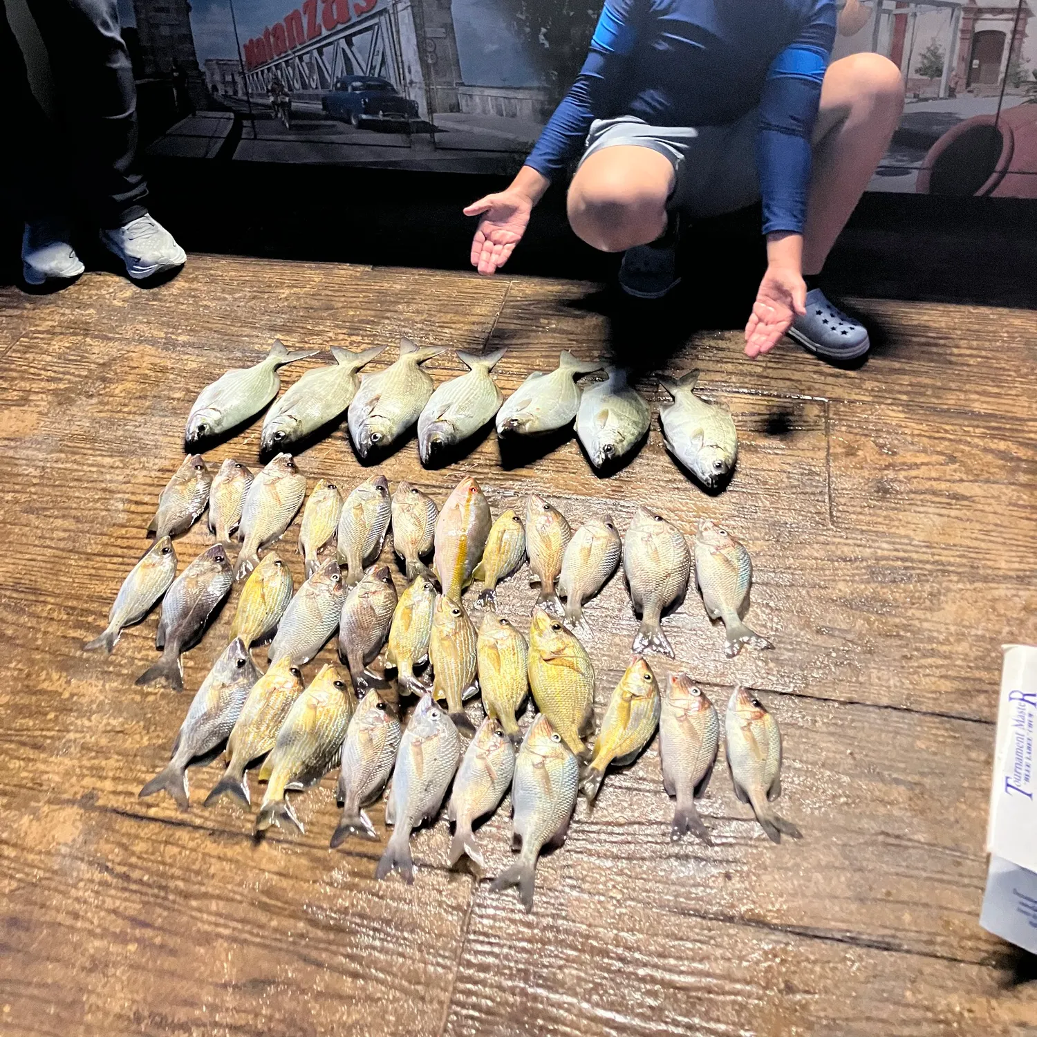 recently logged catches