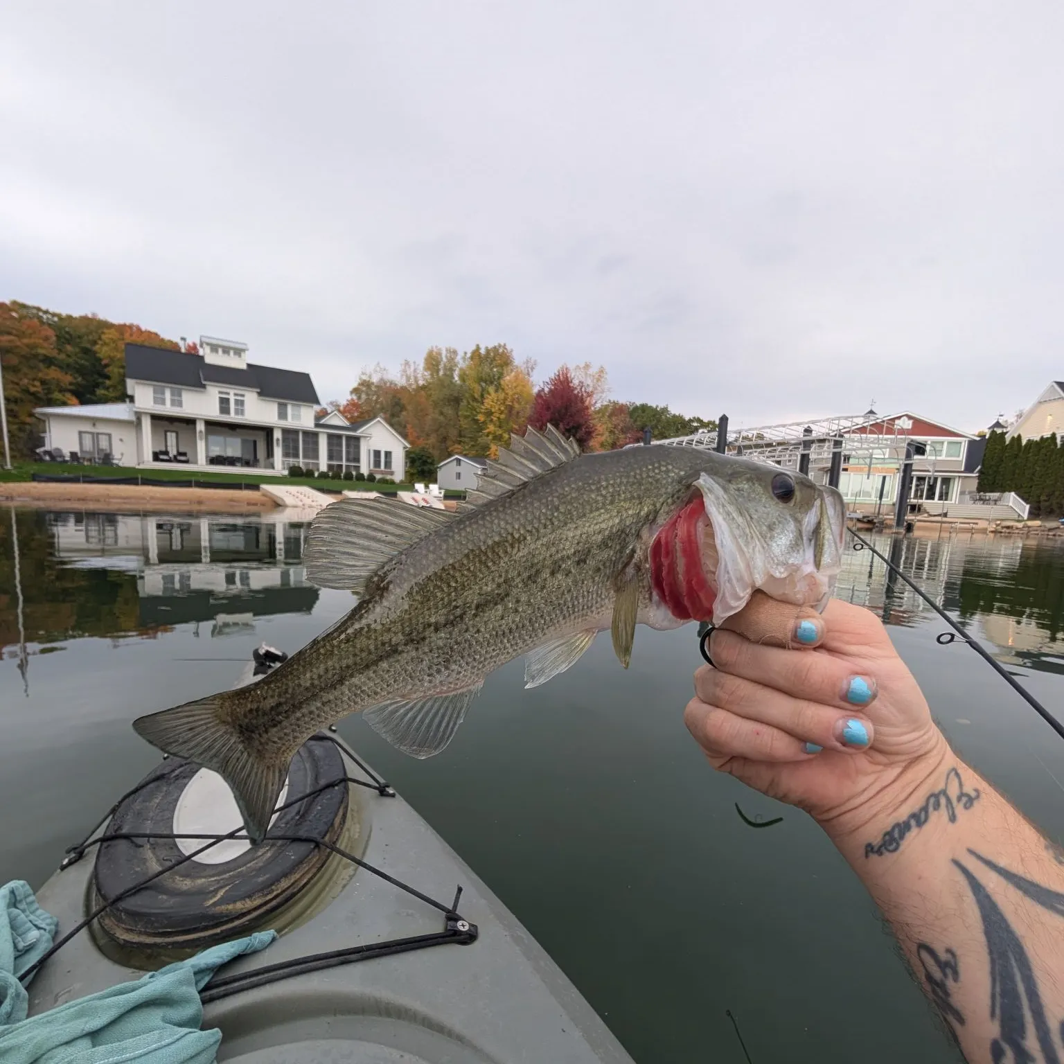 recently logged catches