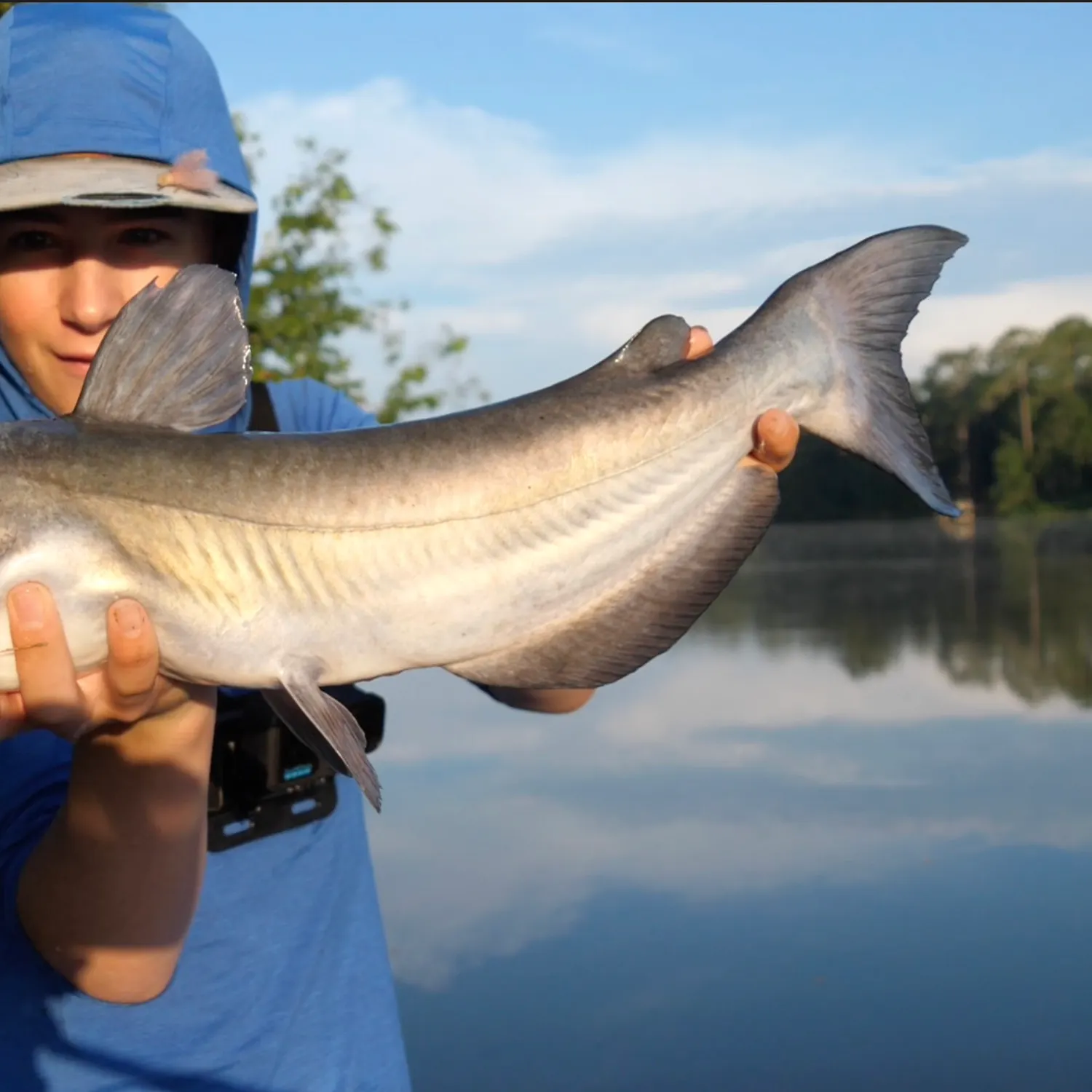 Channel catfish caught on Fishbrain