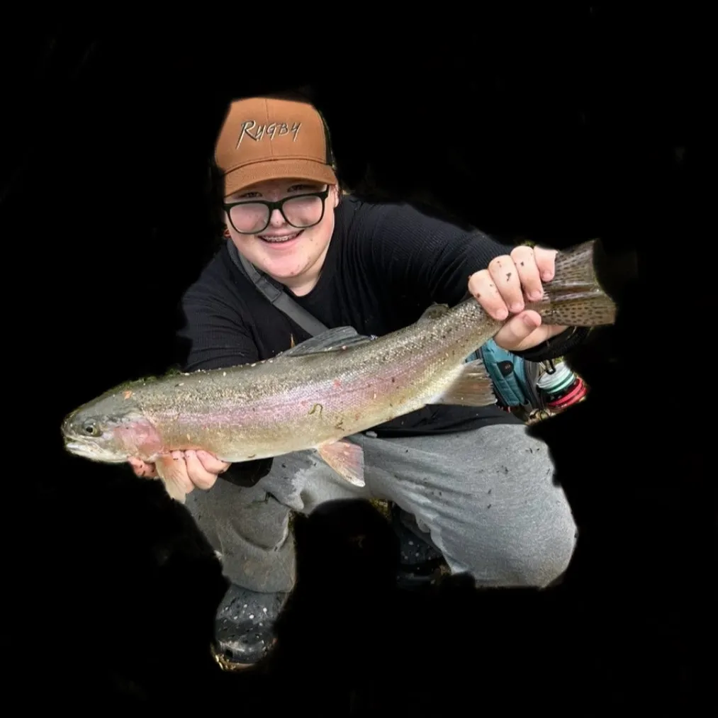 Rainbow trout caught on Fishbrain