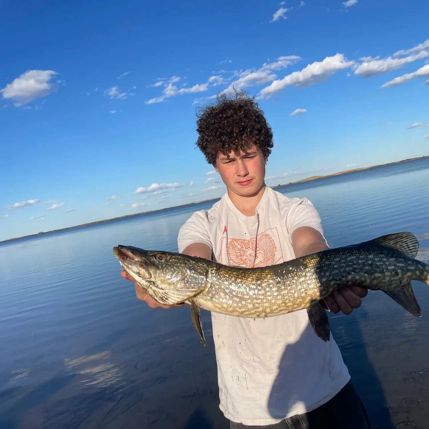 Northern pike caught on Fishbrain