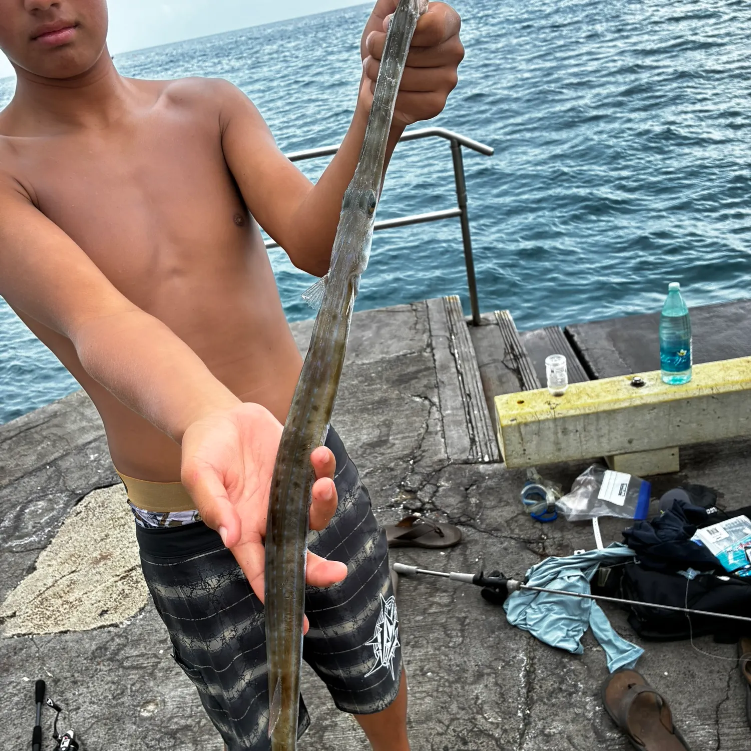 The most recent Chinese trumpetfish catches on Fishbrain
