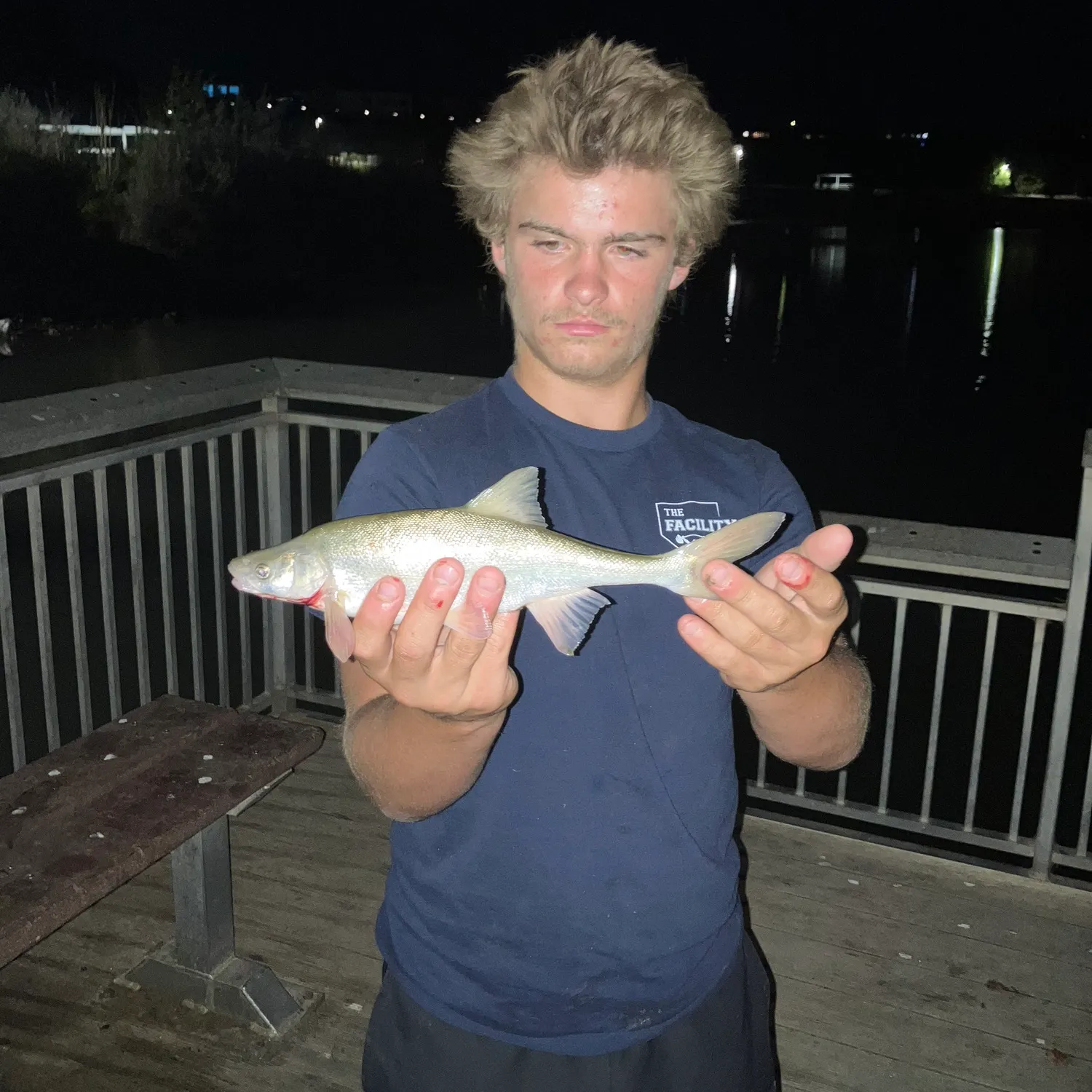 The most recent Bala shark catches on Fishbrain
