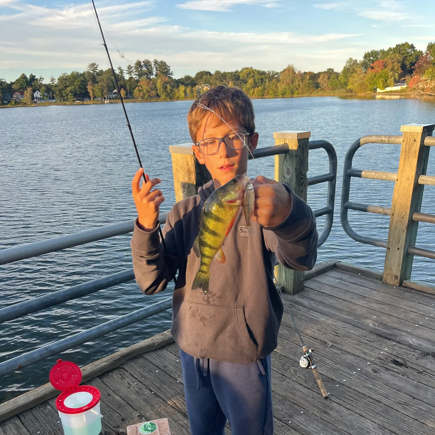 Yellow perch caught on Fishbrain