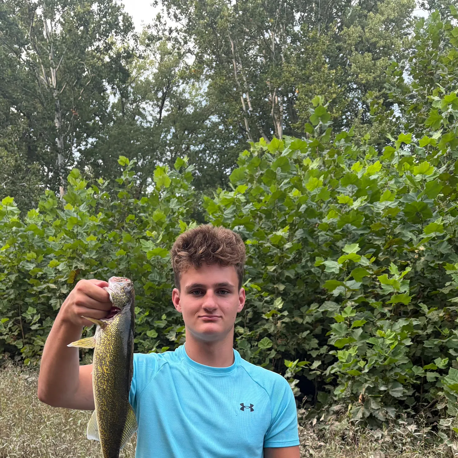 Walleye caught on Fishbrain