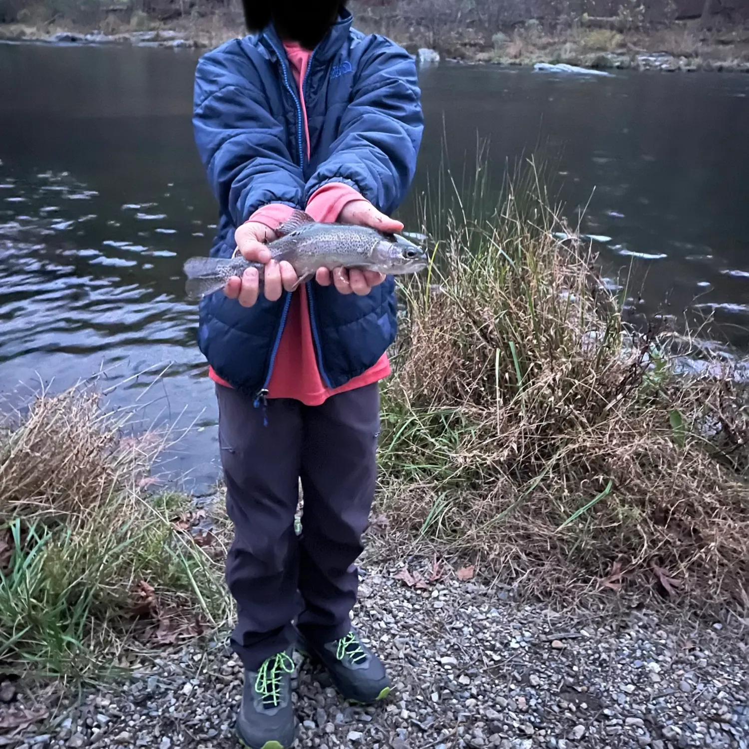 Rainbow trout caught on Fishbrain