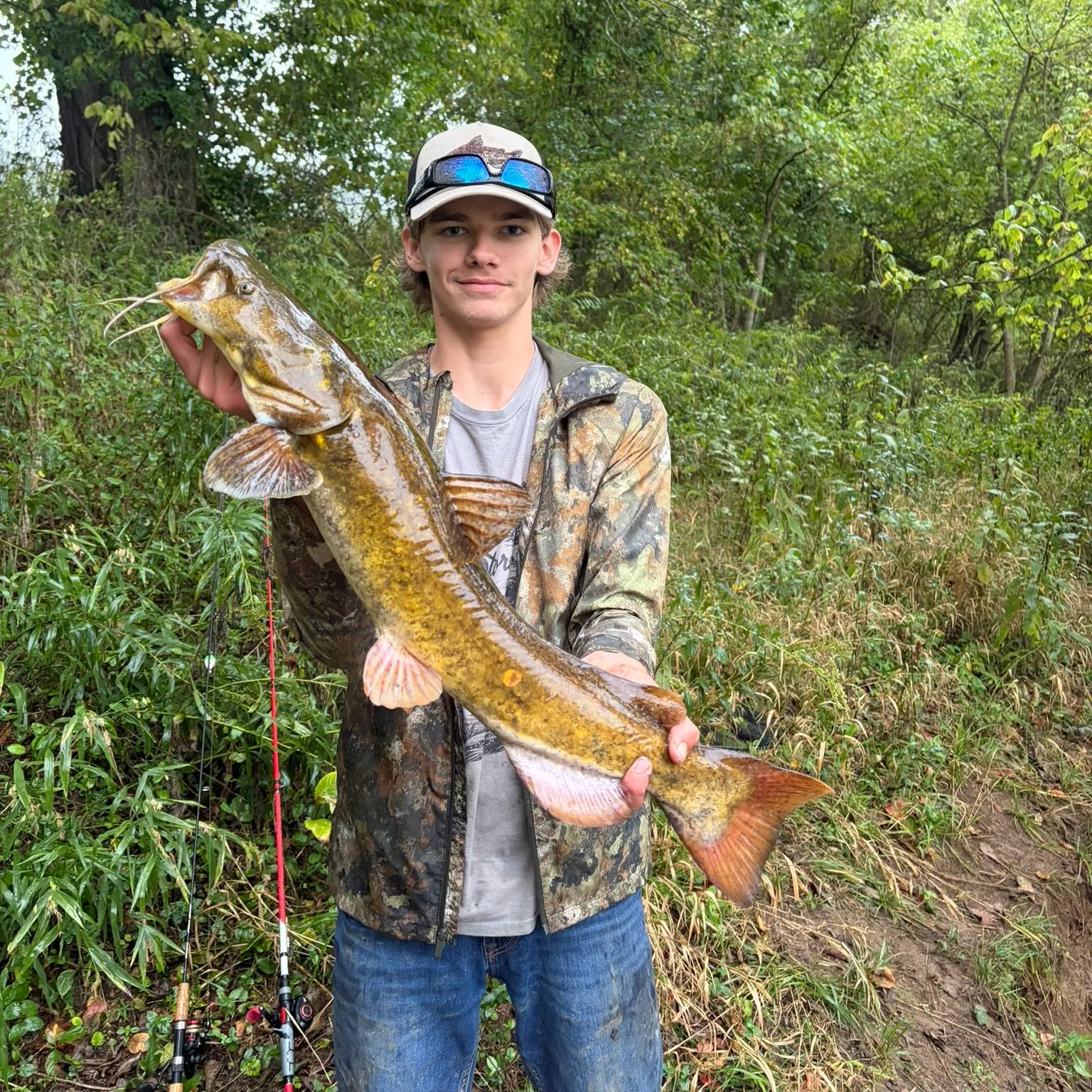 Flathead catfish caught on Fishbrain