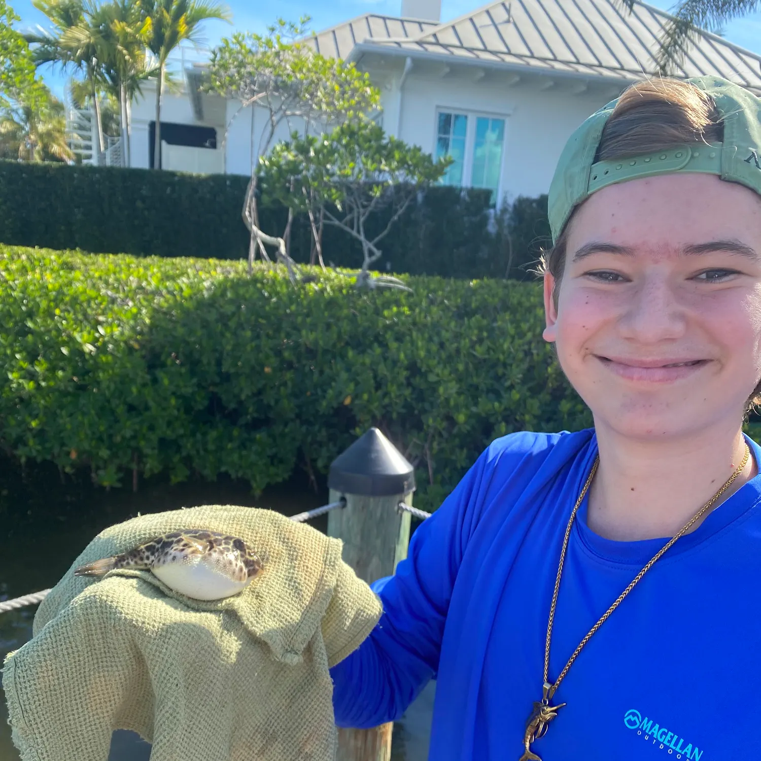 The most recent Checkered puffer catches on Fishbrain