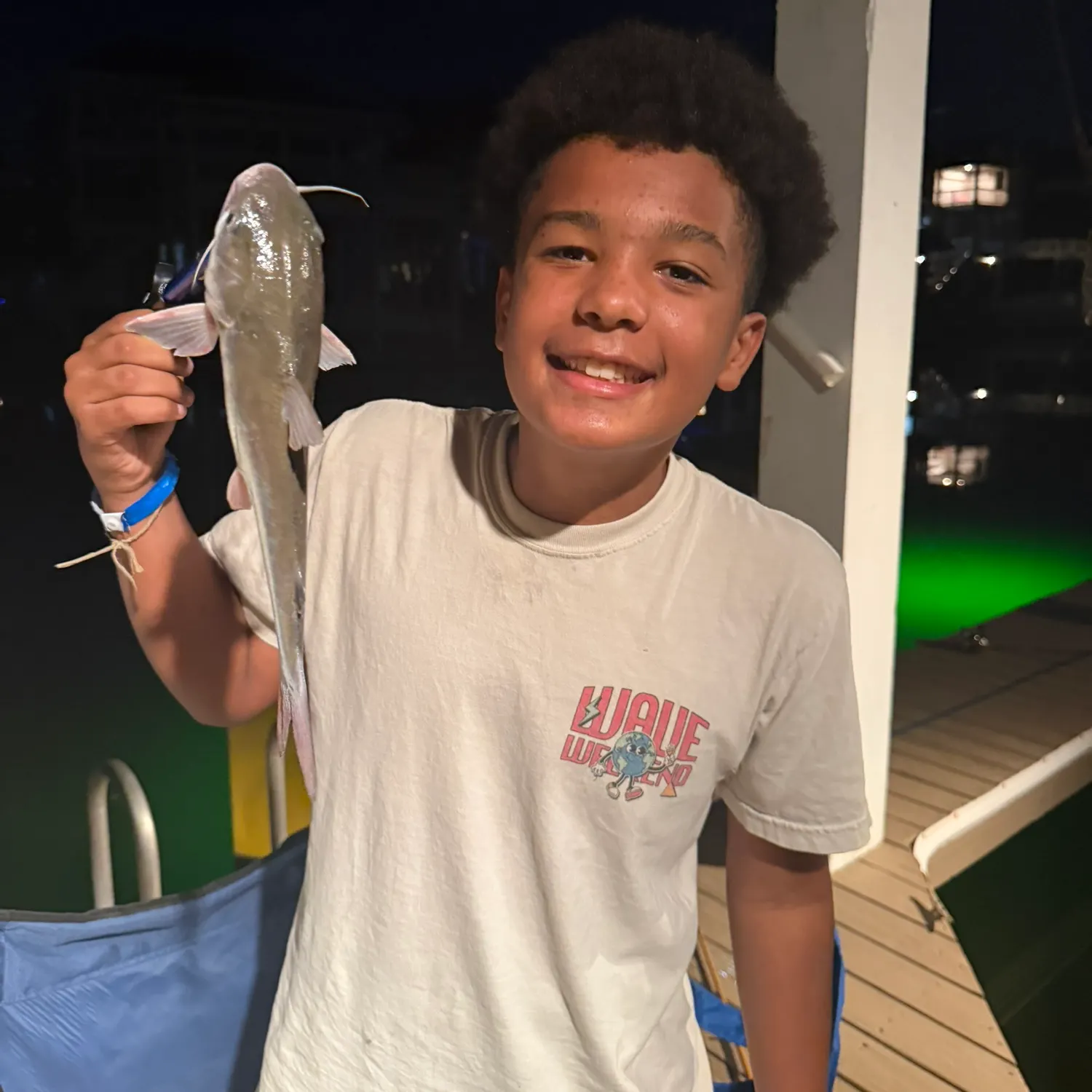 Hardhead sea catfish caught on Fishbrain