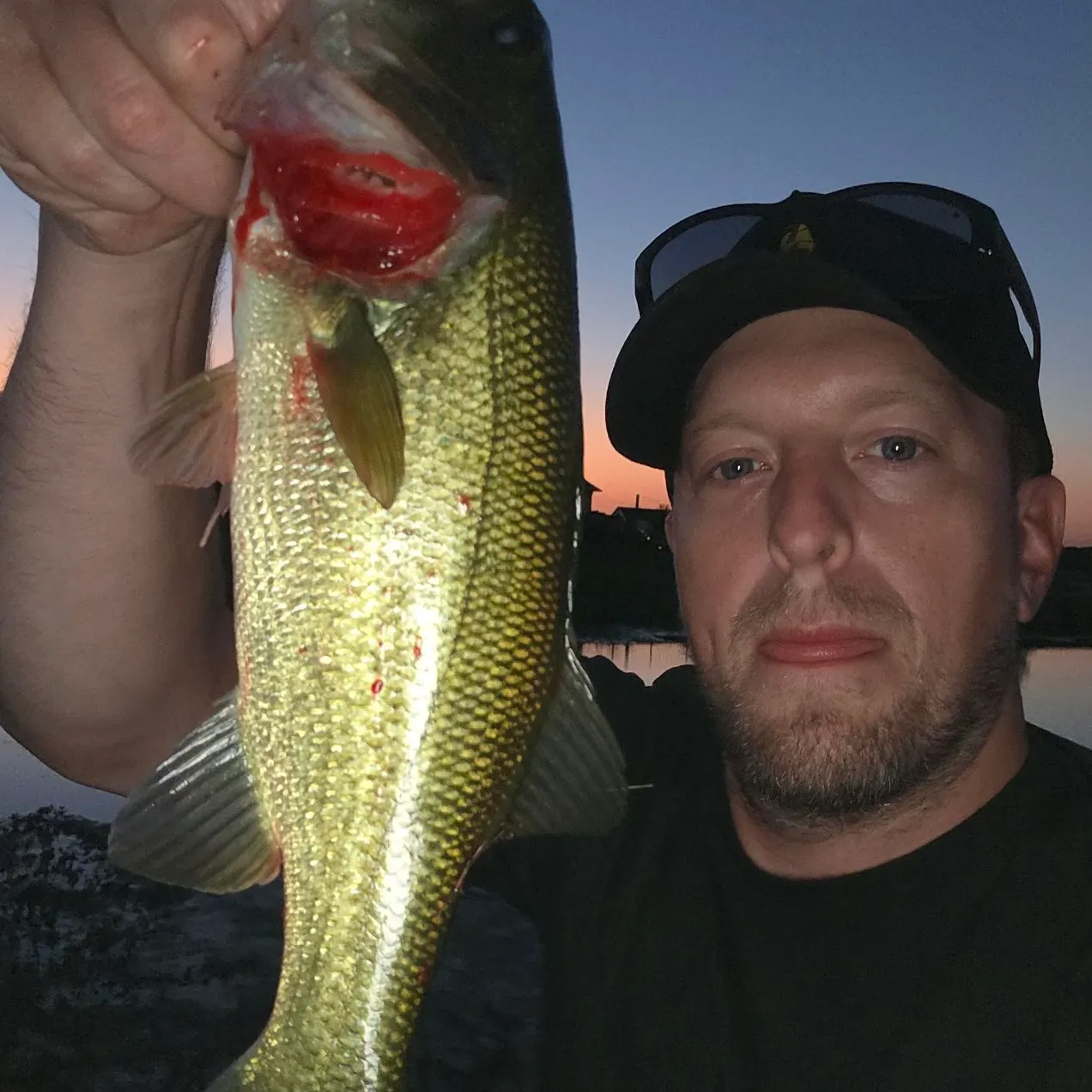 Largemouth bass caught on Fishbrain