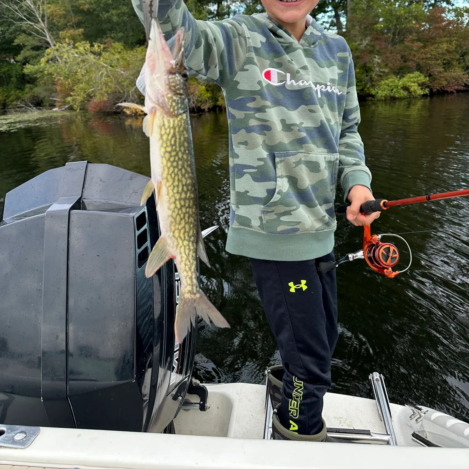 Chain pickerel caught on Fishbrain