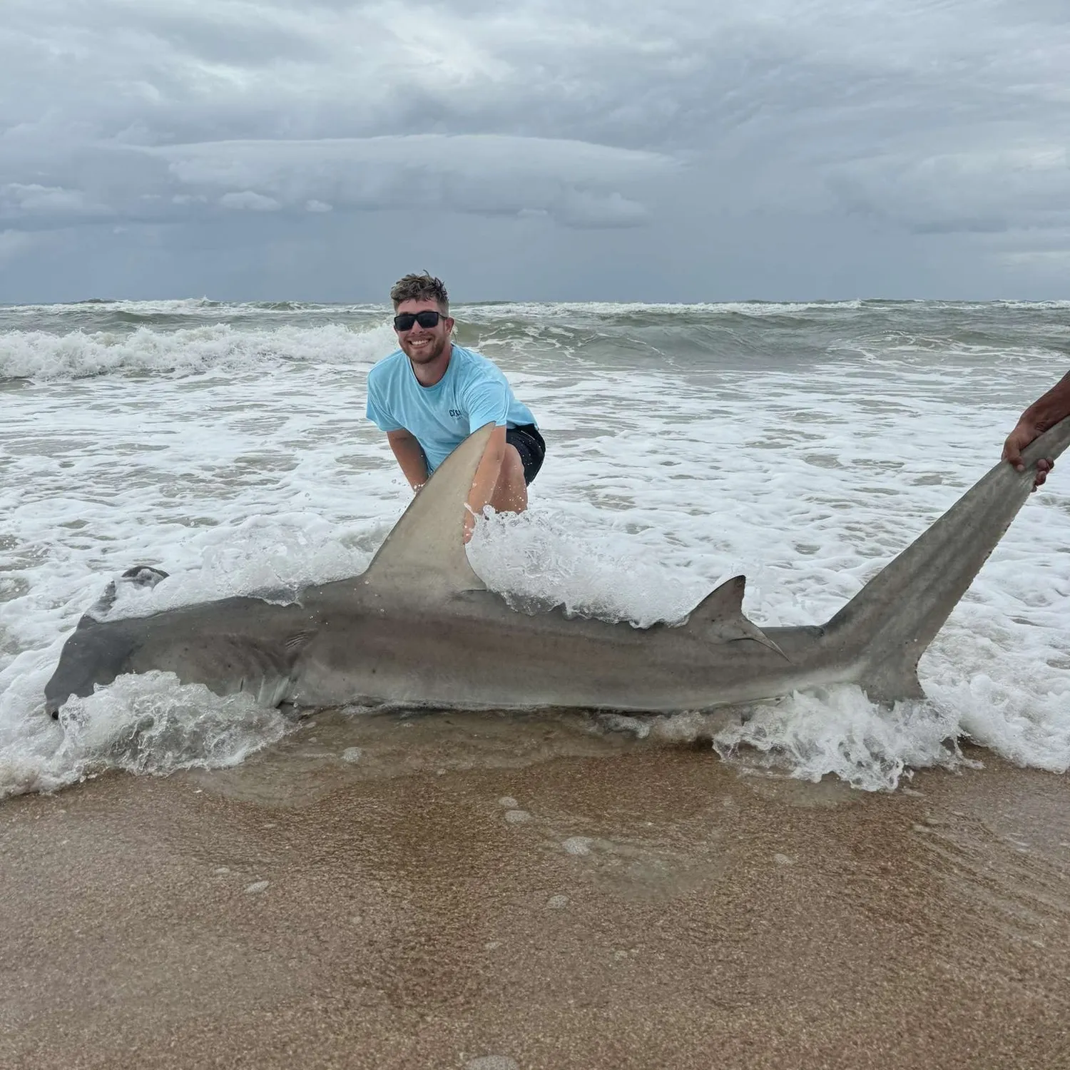 The most recent Great hammerhead shark catches on Fishbrain