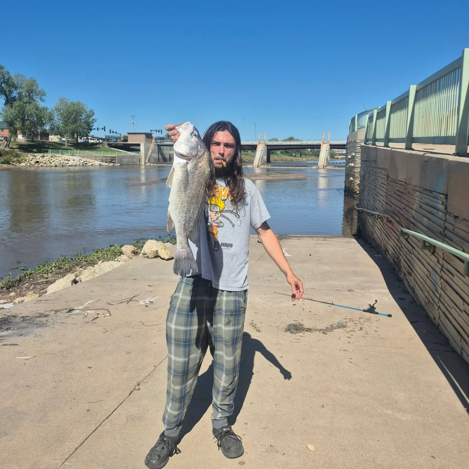 Freshwater drum caught on Fishbrain