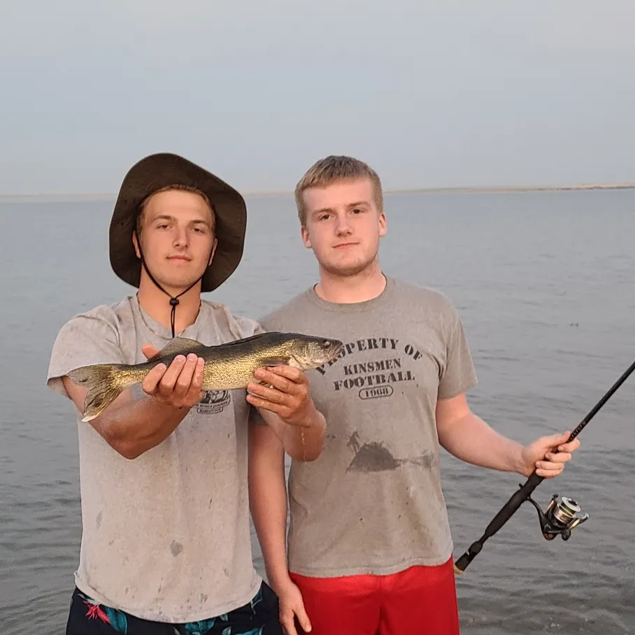 Walleye caught on Fishbrain