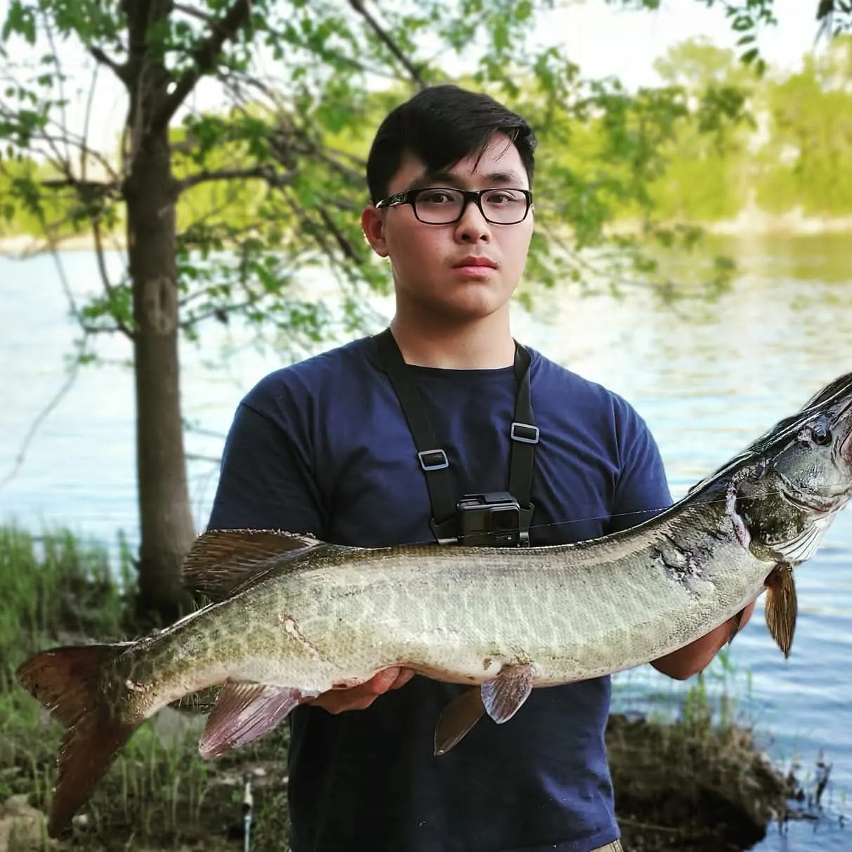 The most recent Muskie catches on Fishbrain