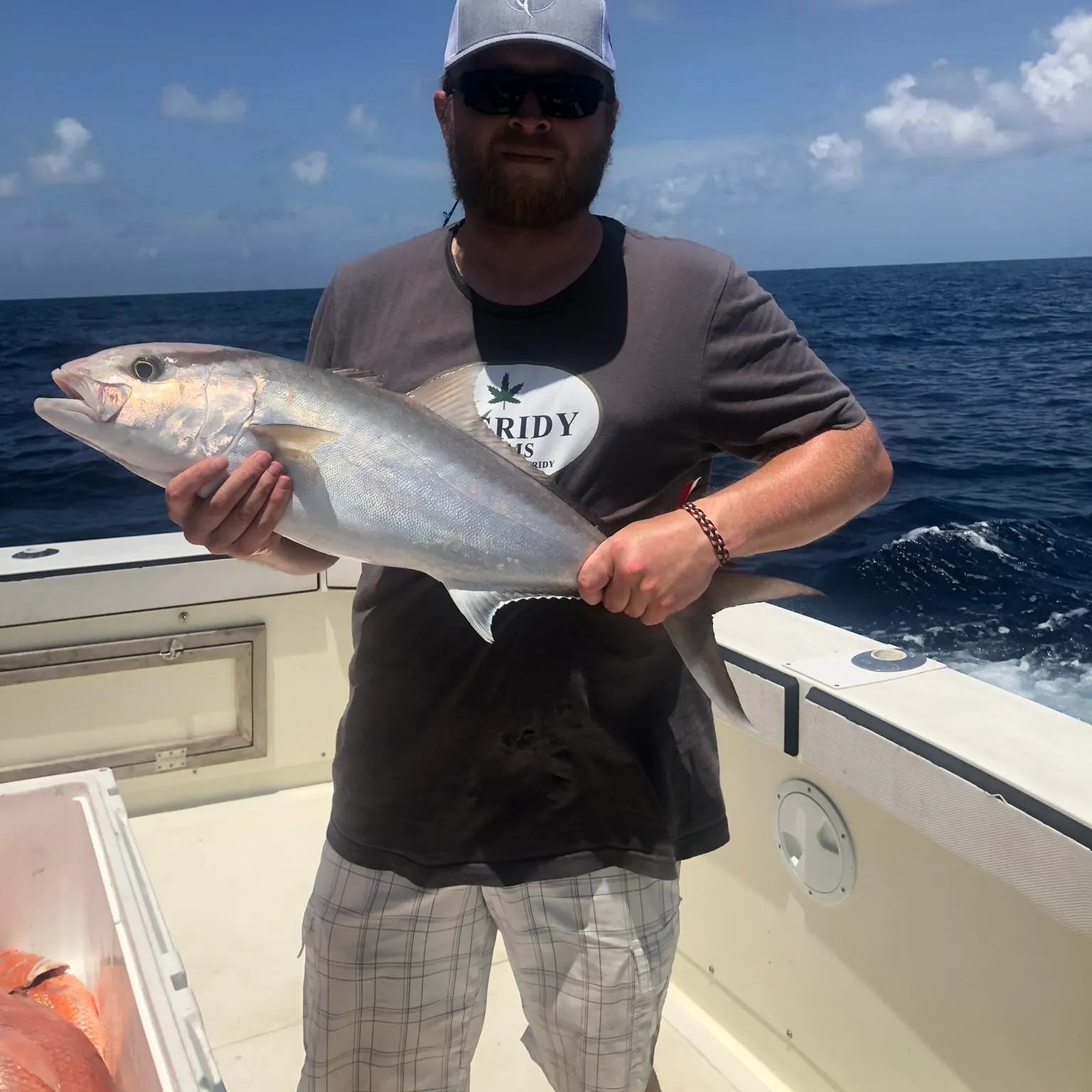 The most recent Lesser amberjack catches on Fishbrain
