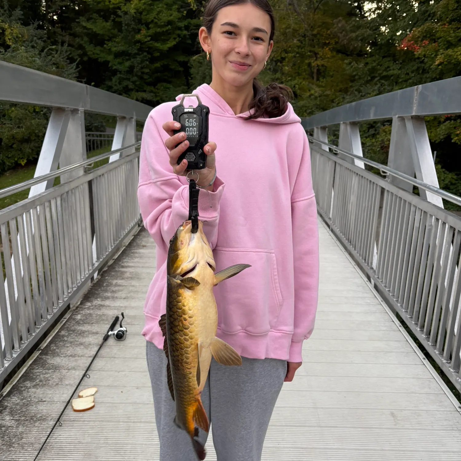 Common carp caught on Fishbrain