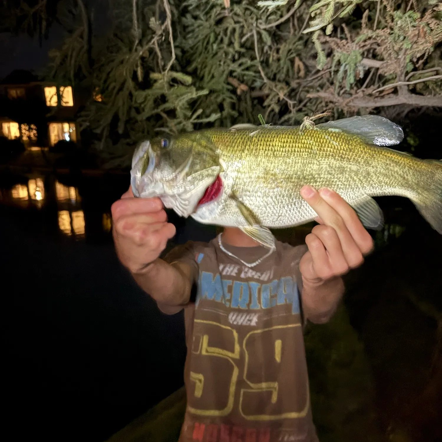 Largemouth bass caught on Fishbrain