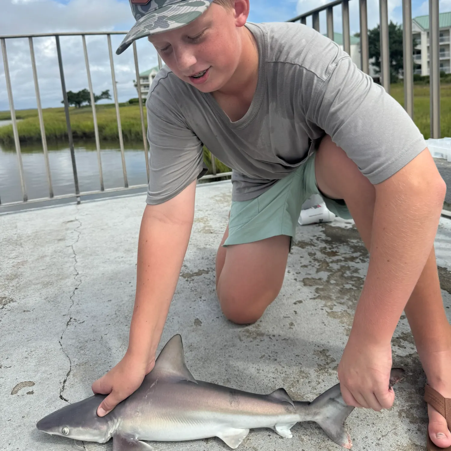Sandbar shark caught on Fishbrain