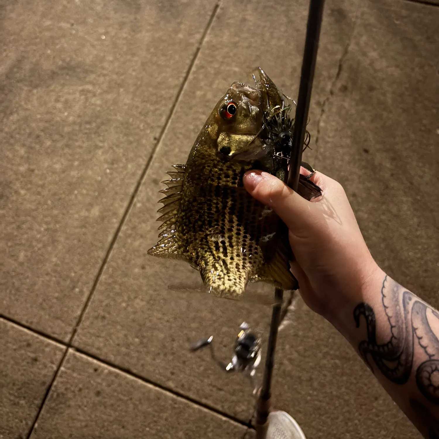 catch