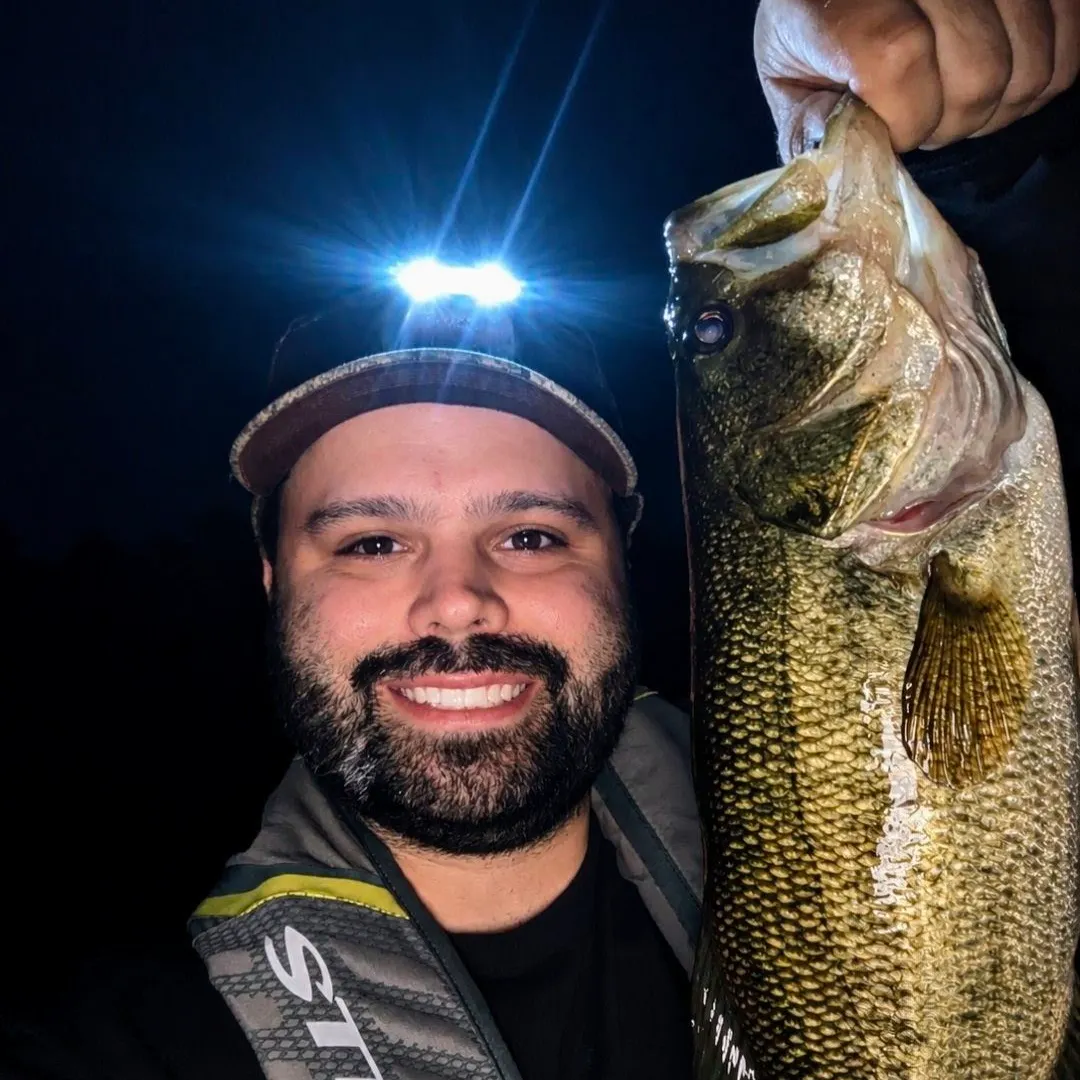 Largemouth bass caught on Fishbrain