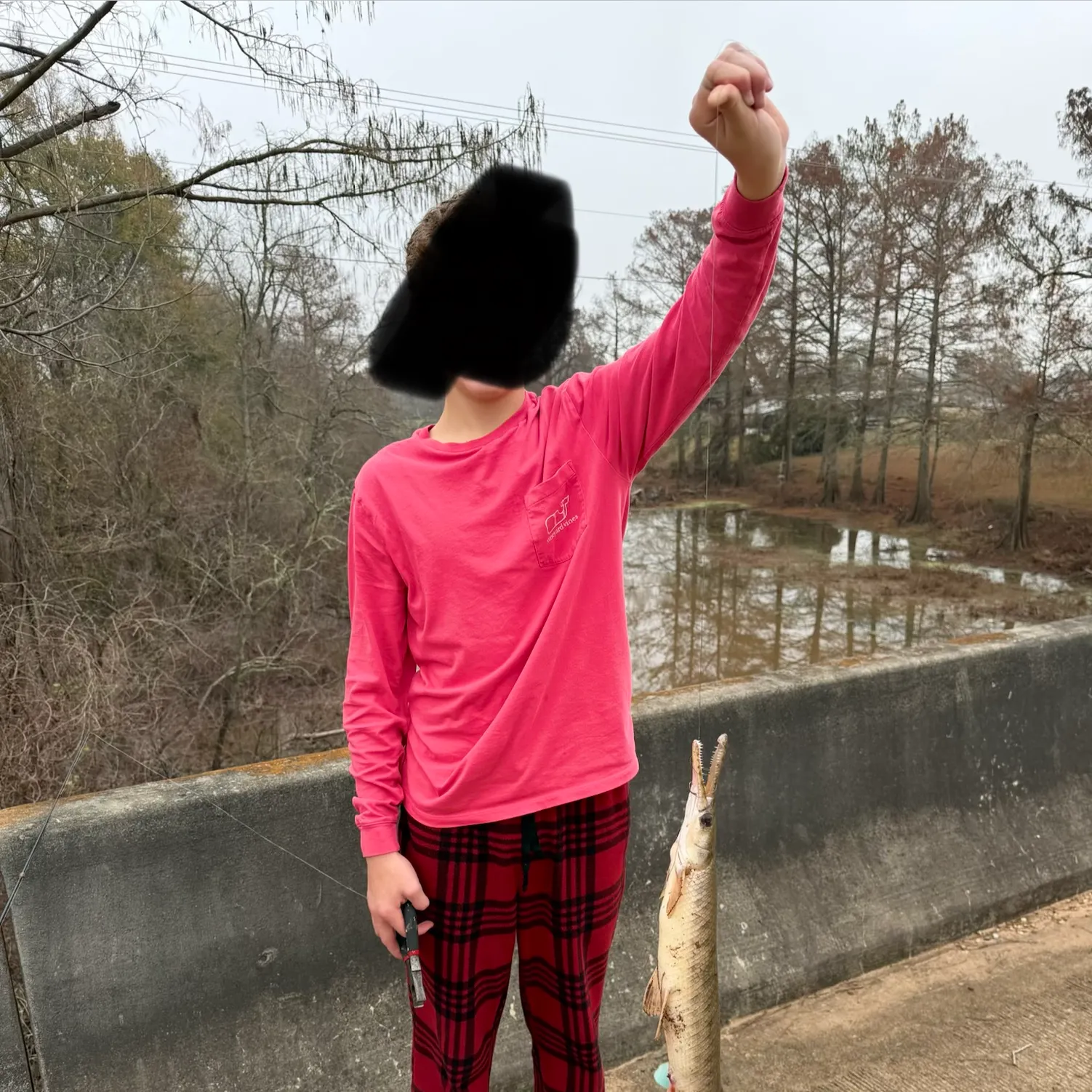 The most recent Shortnose gar catches on Fishbrain
