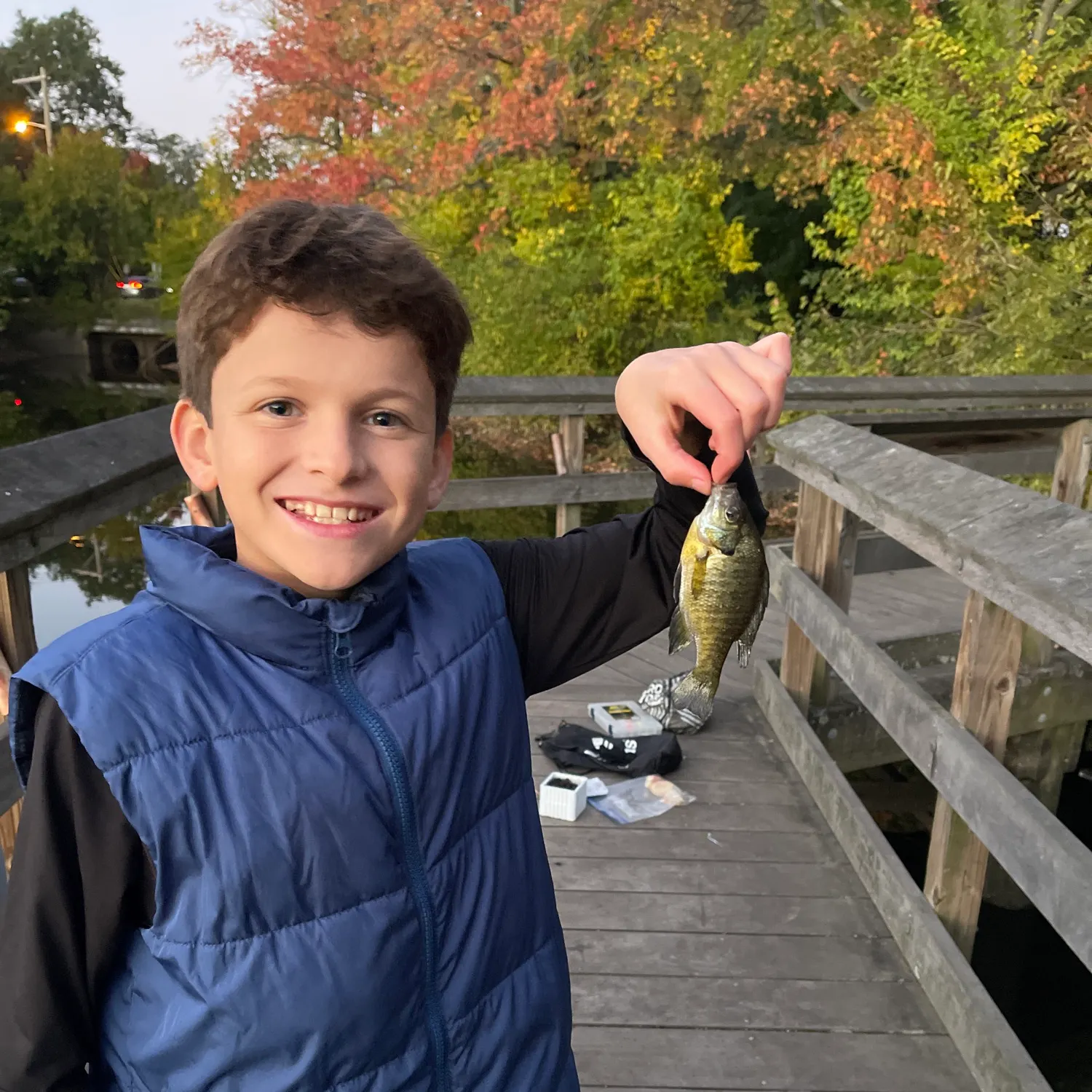 Bluegill caught on Fishbrain