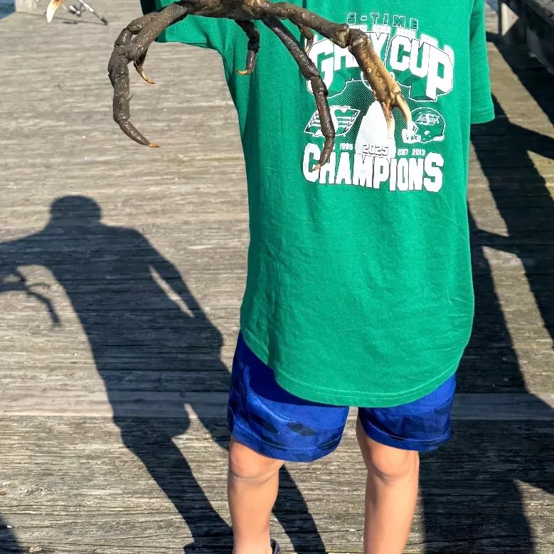 The most recent Portly spider crab catches on Fishbrain