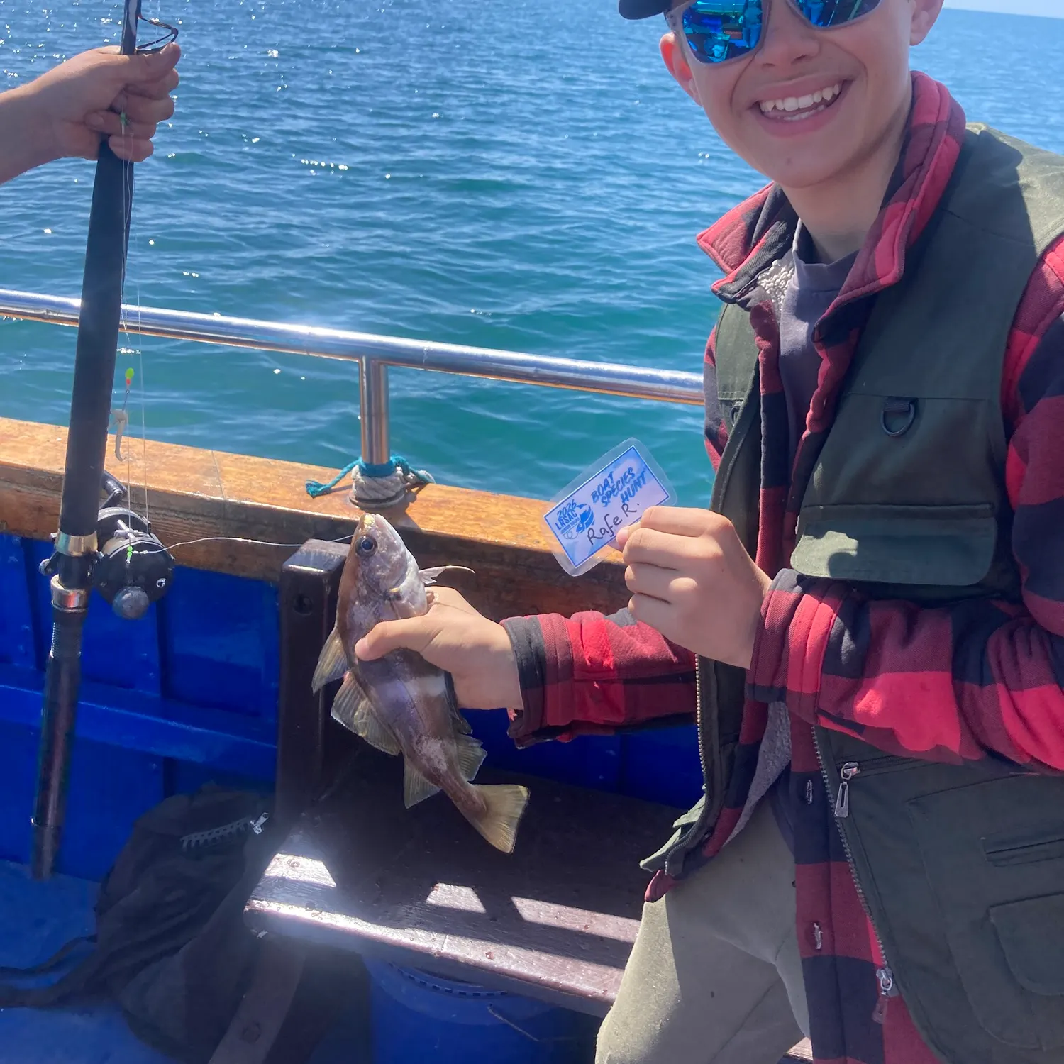 The most recent Pouting catches on Fishbrain