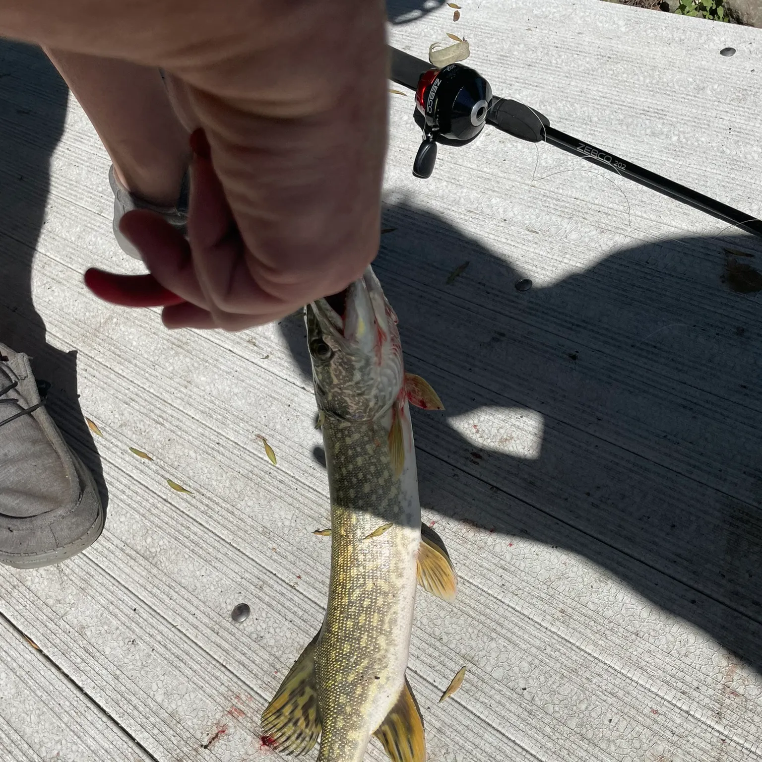 catch