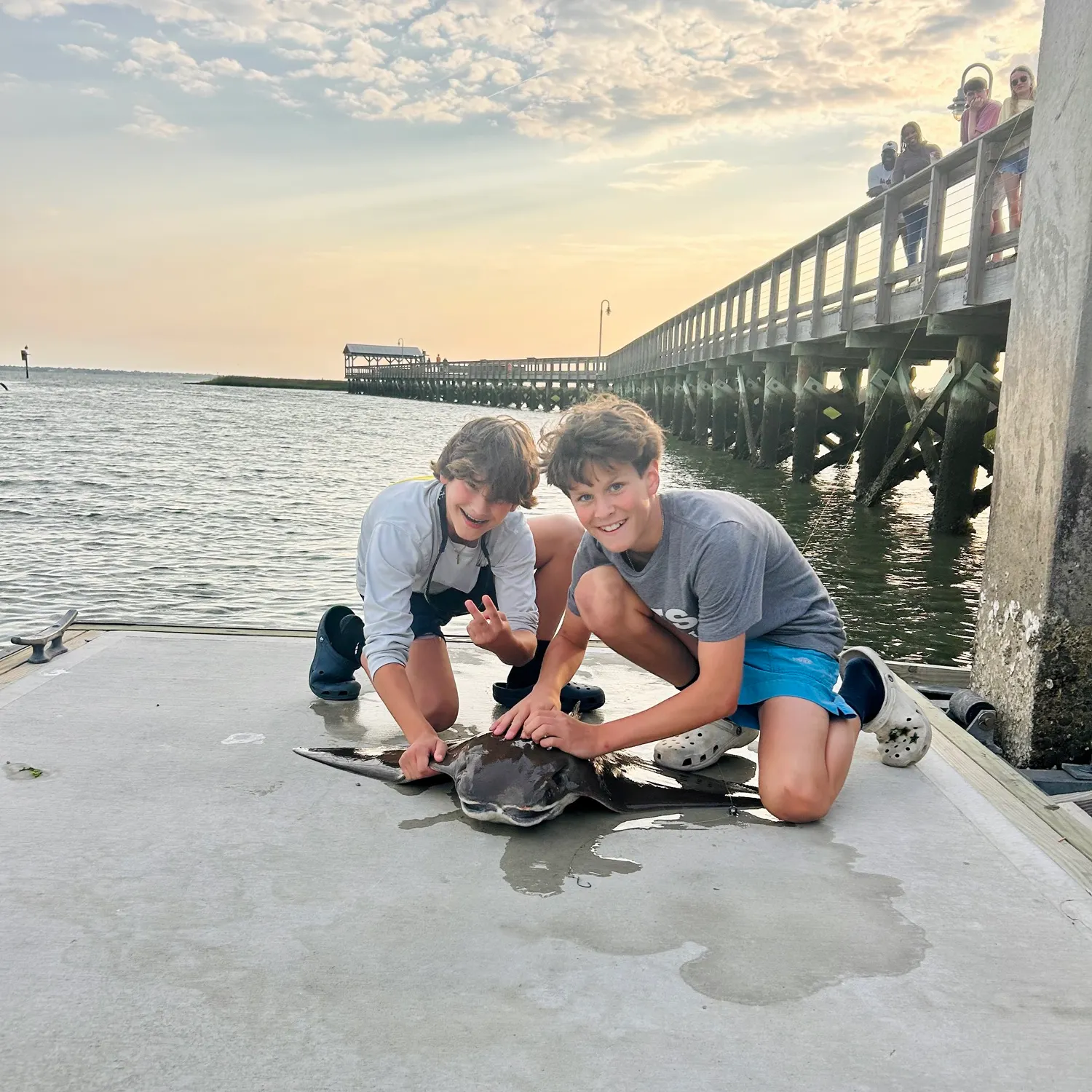 The most recent Cownose Ray catches on Fishbrain