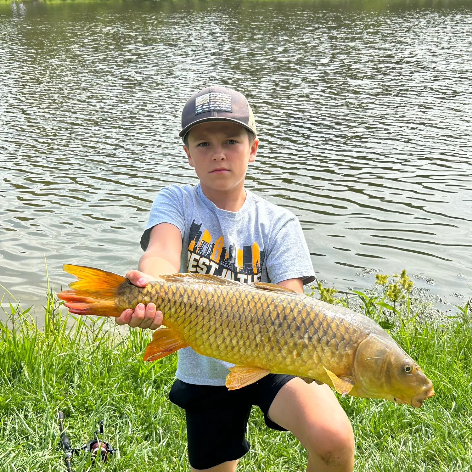 Common carp caught on Fishbrain