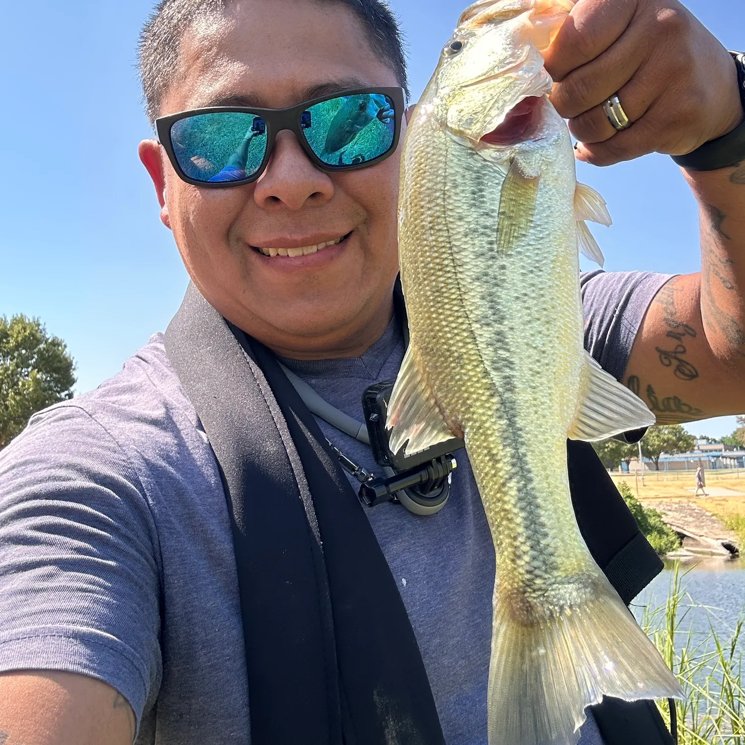 Largemouth bass caught on Fishbrain