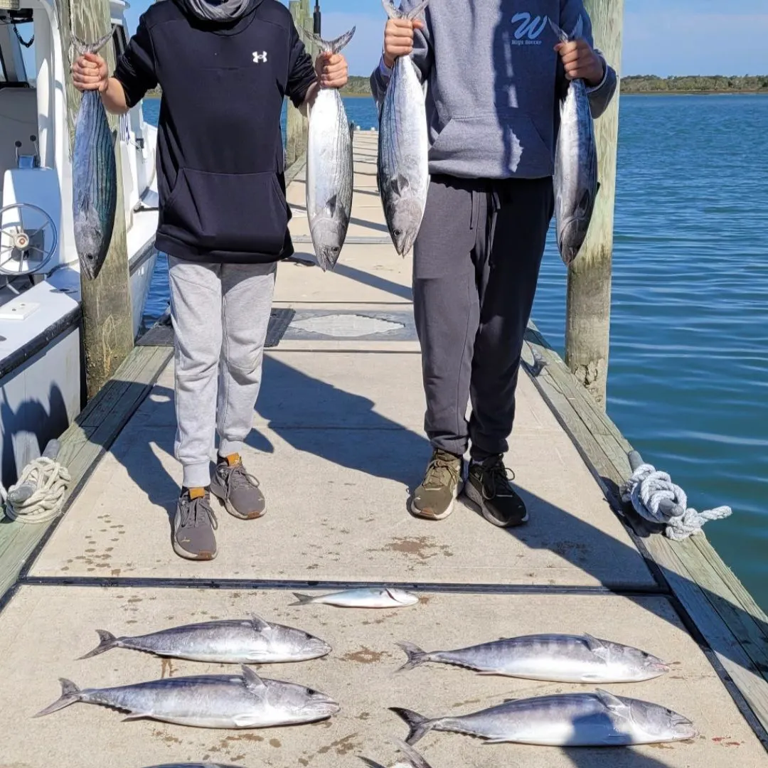The most recent Skipjack tuna catches on Fishbrain