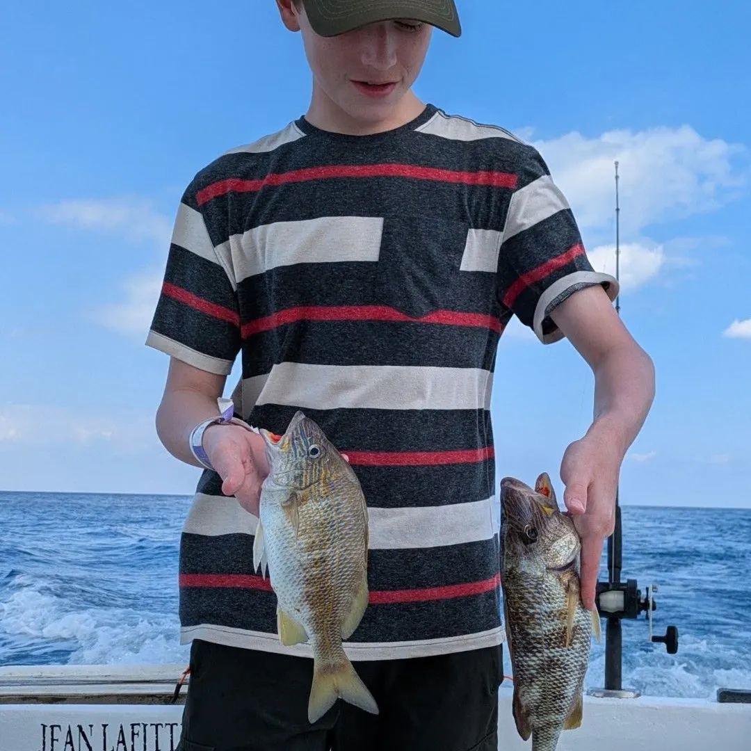 White grunt caught on Fishbrain