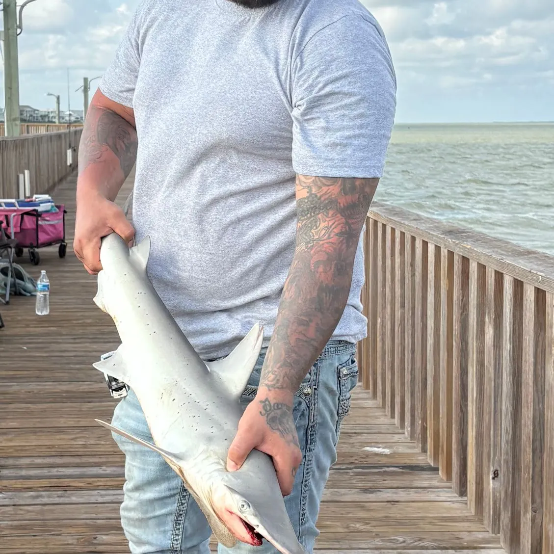 Bonnethead shark caught on Fishbrain