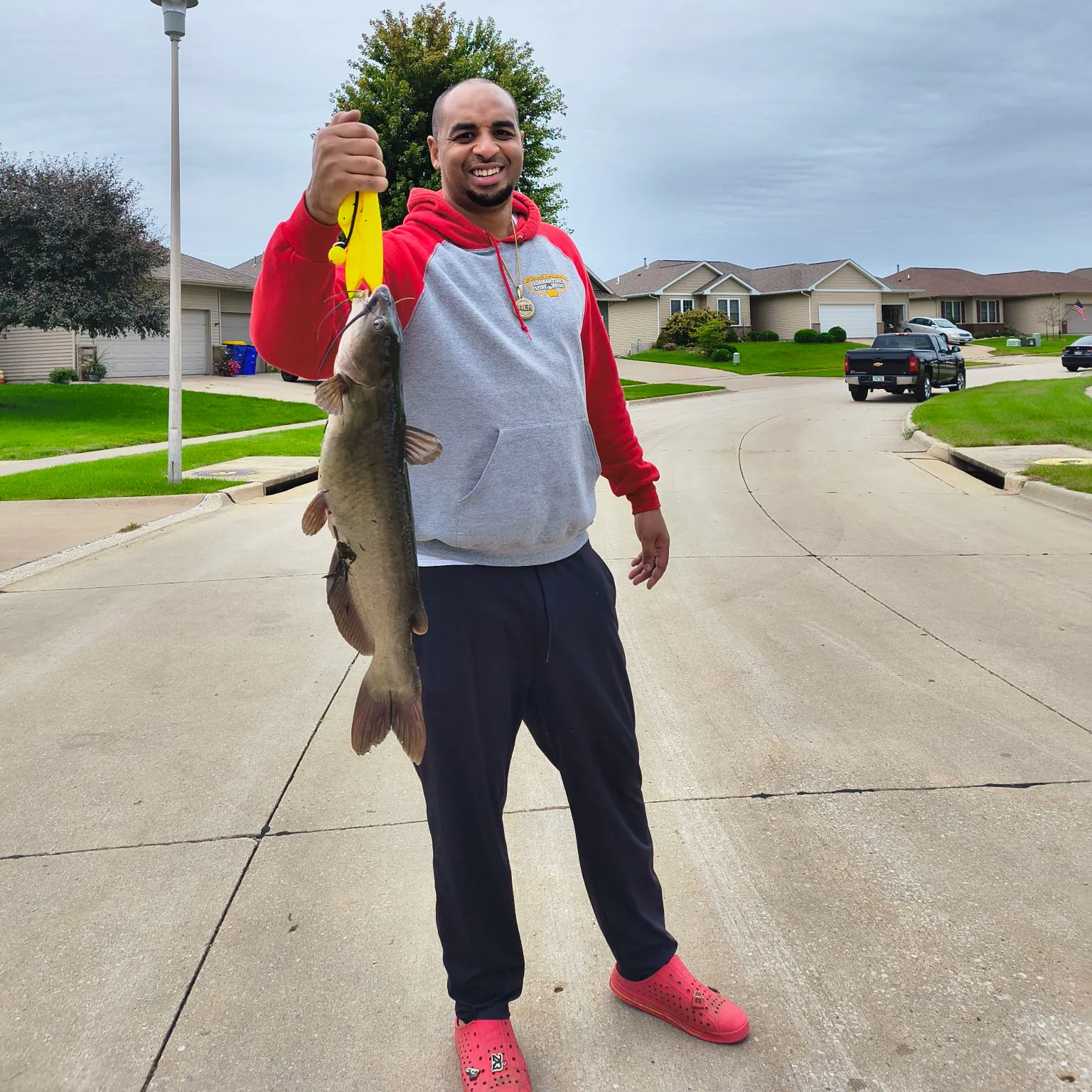 Channel catfish caught on Fishbrain