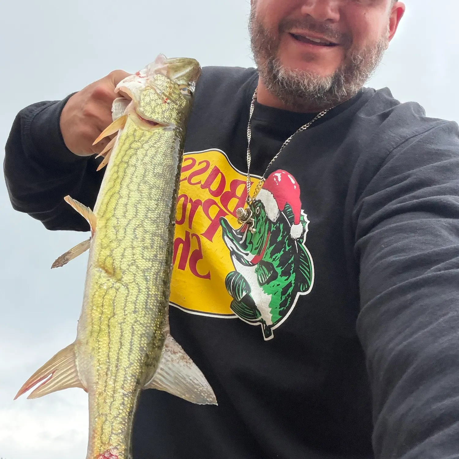 Chain pickerel caught on Fishbrain