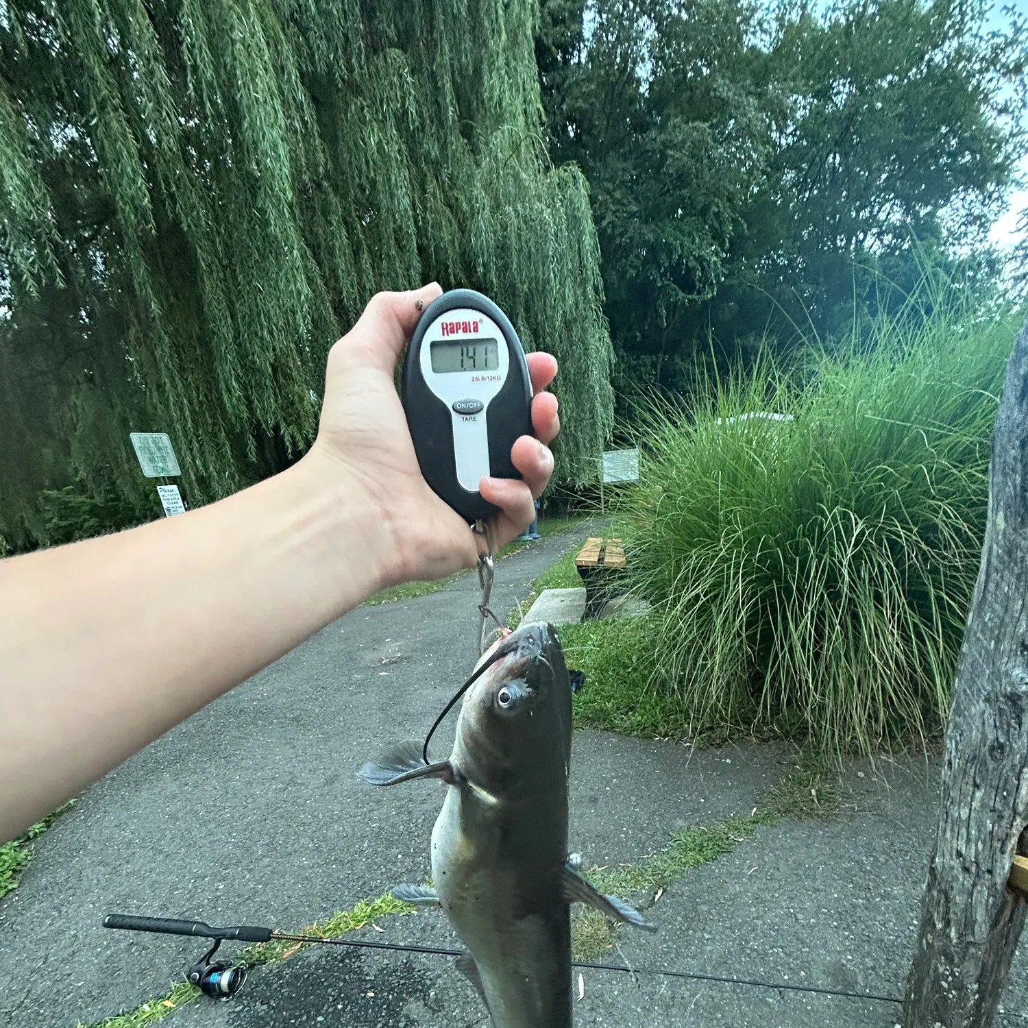 catch