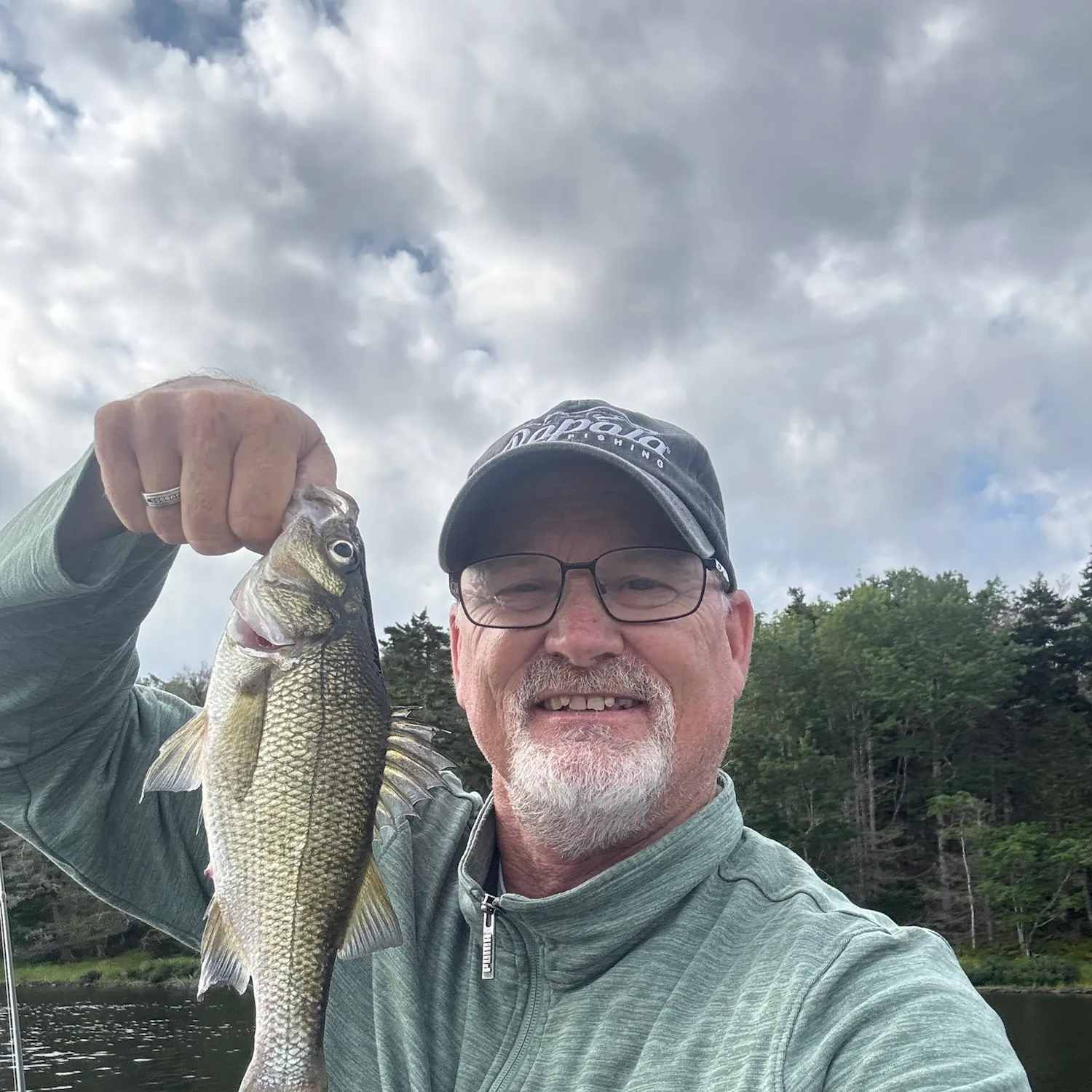 White perch caught on Fishbrain