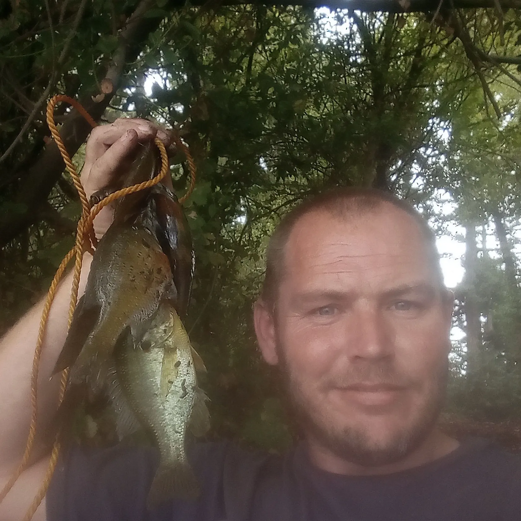 Redear sunfish caught on Fishbrain