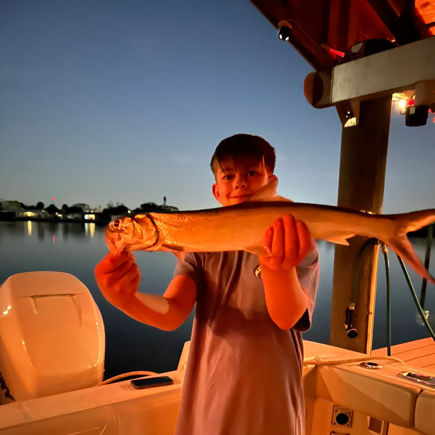 The most recent Ladyfish catches on Fishbrain